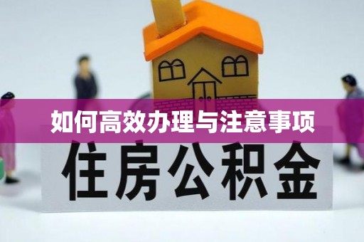 中西如何高效办理与注意事项