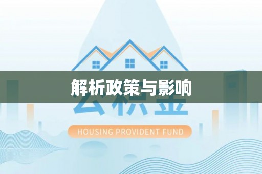 中西解析政策与影响