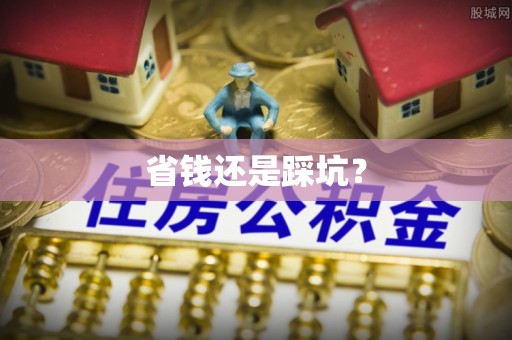 中西省钱还是踩坑？
