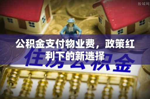 中西公积金支付物业费，政策红利下的新选择