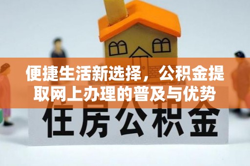 中西便捷生活新选择，公积金提取网上办理的普及与优势