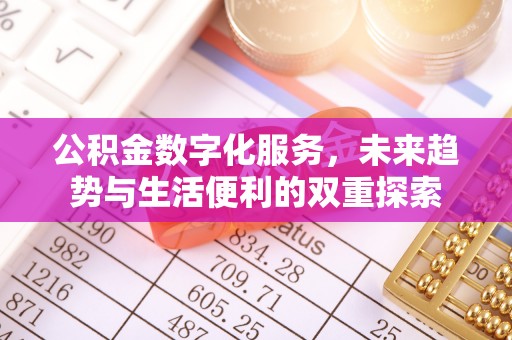 中西公积金数字化服务，未来趋势与生活便利的双重探索