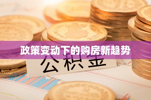中西政策变动下的购房新趋势