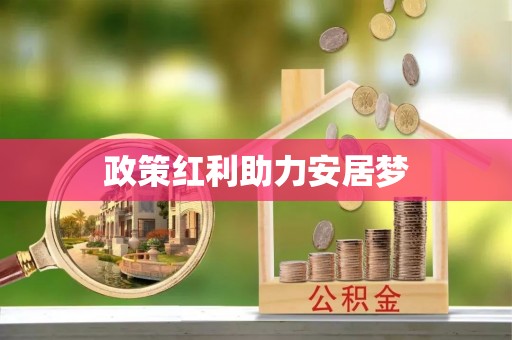 中西政策红利助力安居梦
