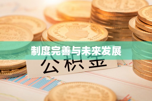 中西制度完善与未来发展