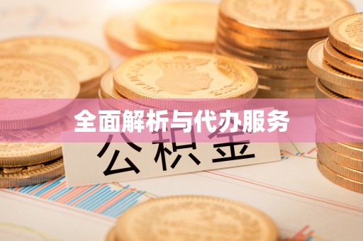 中西全面解析与代办服务