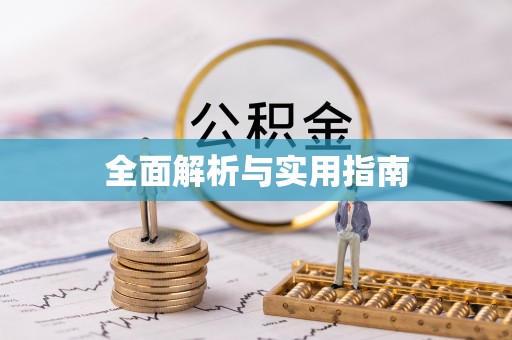 中西全面解析与实用指南